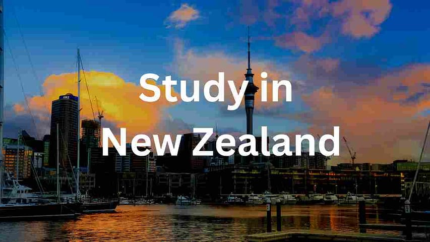 Study In New Zealand